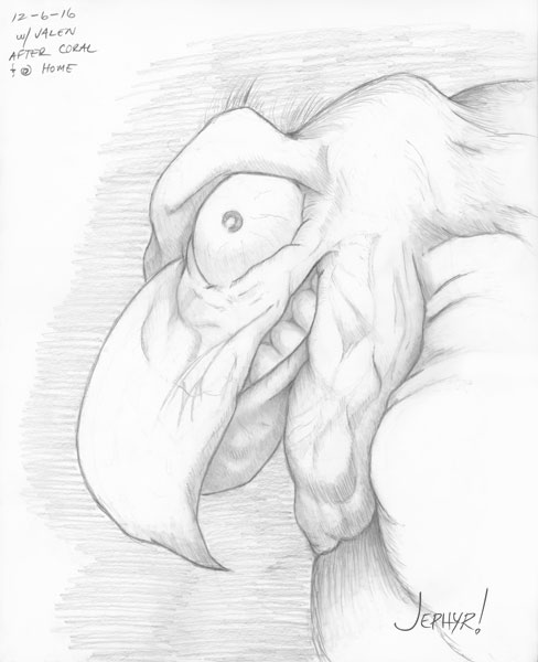 "Wack-A-Doodle-Do" - Pencil Sketch - Copyright 2017, Jephyr (Jeff Curtis), All Rights Reserved